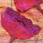 Poppies - close up
